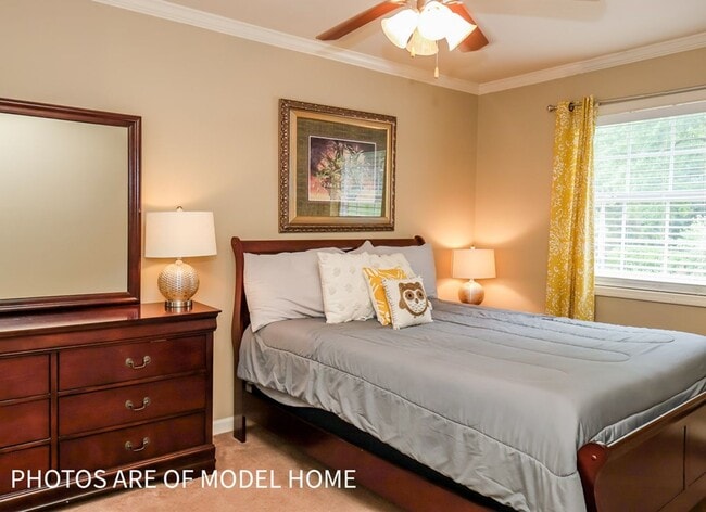 Building Photo - 2 Bedroom 1 Bath Apartment Close to Campus!