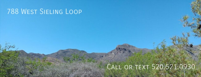 Building Photo - 788 W Sieling Loop