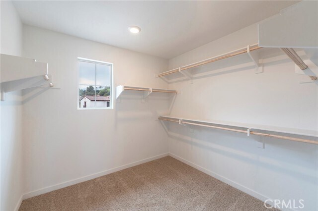 Building Photo - 3955 Satsuma Ln