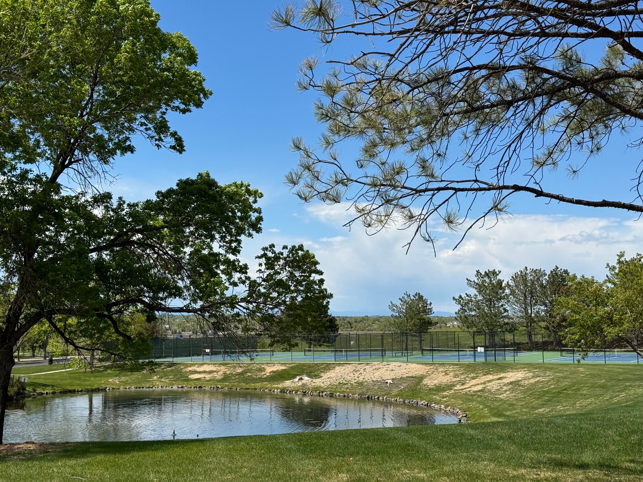 Building Photo - 11483 Knox Ct