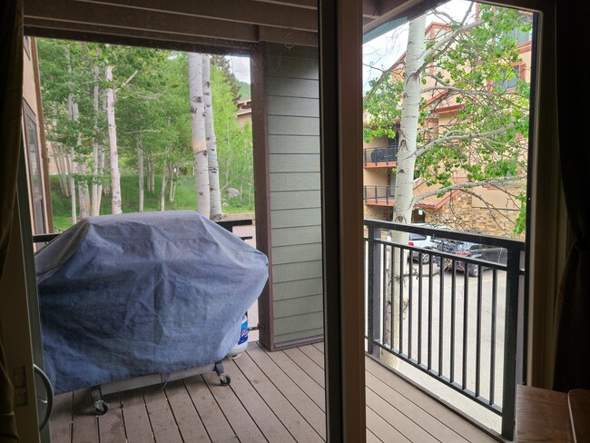 Building Photo - Breakaway West Condo1023 Lions Ridge Loop-122