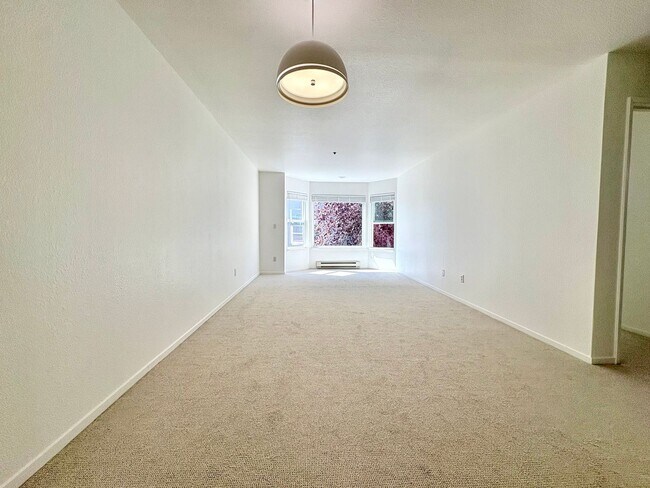 Building Photo - Beautiful 1Bd/1Ba in the Heart of Pacific Heights