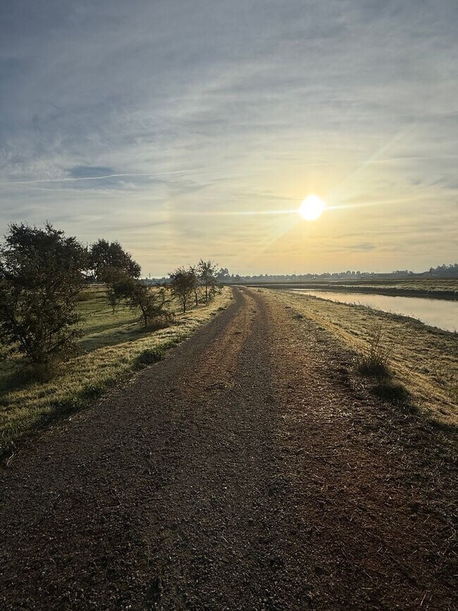 Building Photo - 3 bedroom | 2.5 bathroom | Single family home in North Natomas