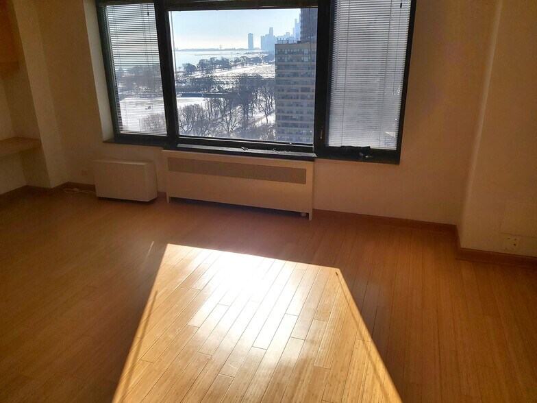 Living room - 3100 N Lake Shore Dr