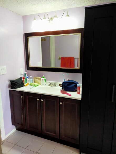 Master bath with storage cabinet - 7432 Sunshine Skyway Ln S