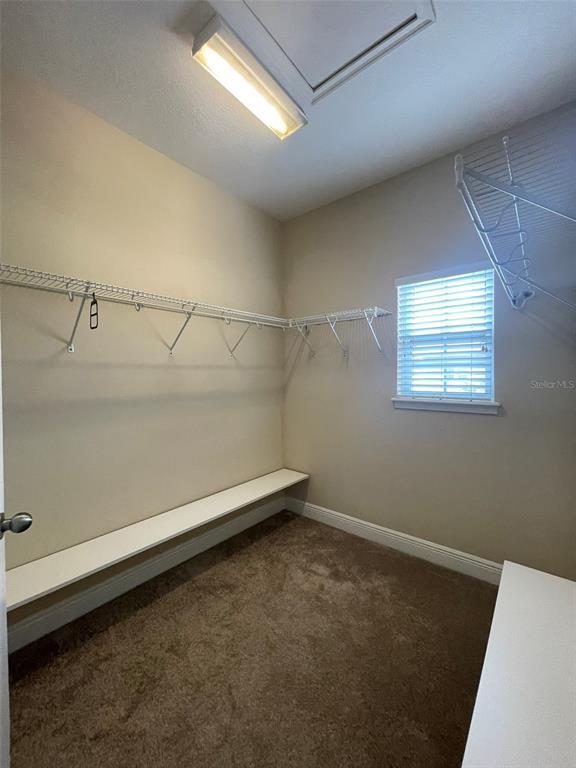 Building Photo - 439 Ellis Square Ct