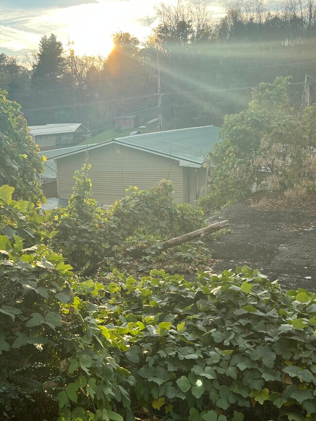 Building Photo - Lynn Garden