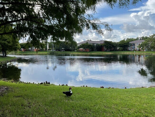 Building Photo - The Grand Isles - Key Lago