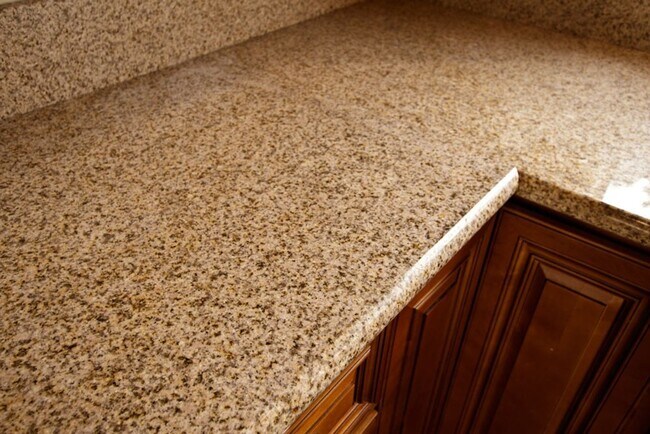 Building Photo - Beautiful 4BR/3 Full BA single family home with large yard