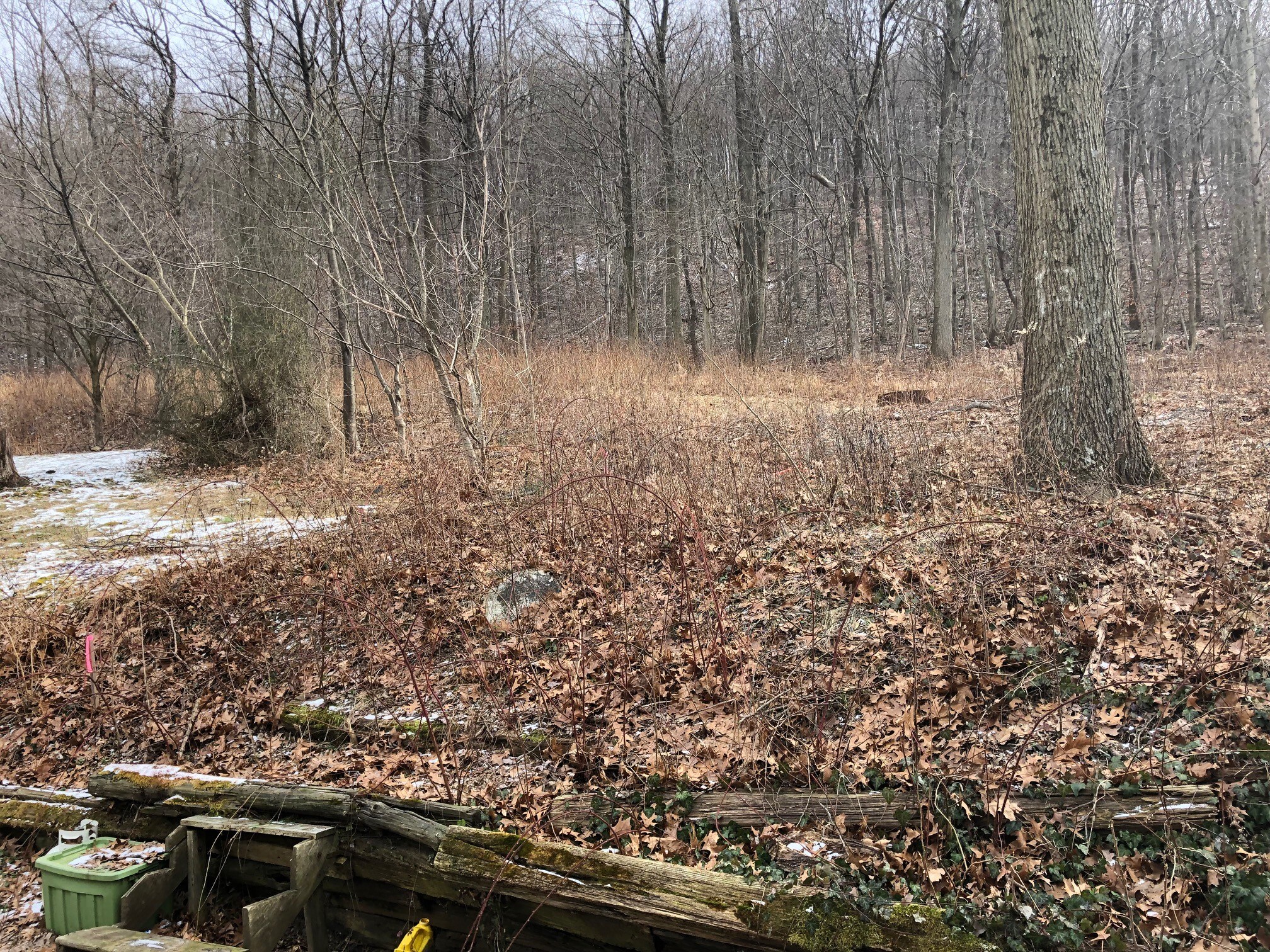 Building Photo - 1214 Fox Run