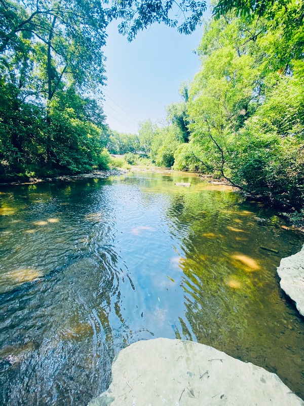 Building Photo - 263 Southburn Dr