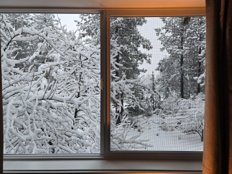 Building Photo - 20512 Whitstone Cir