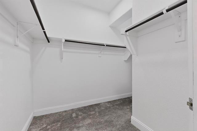 Building Photo - 7213 Bronco Blf