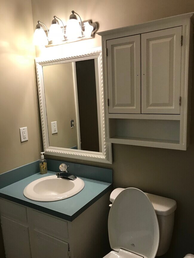 Master Bath - 2720 Shober Ct