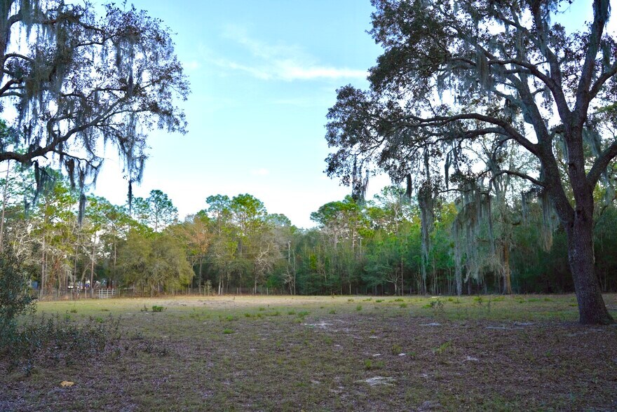 Building Photo - 29205 Saddle Oaks Ln