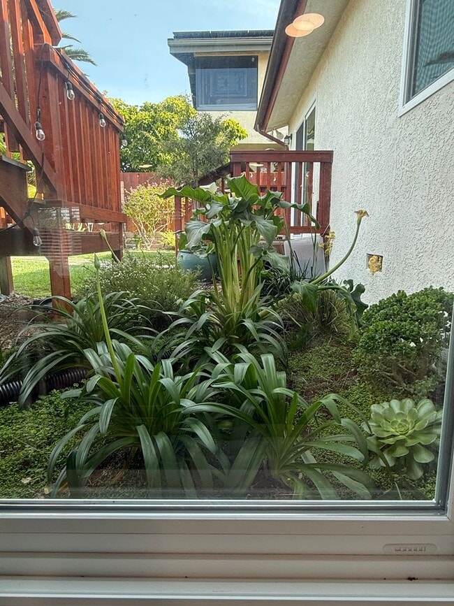 Building Photo - Stylish Cozy One Bedroom in Pismo Beach