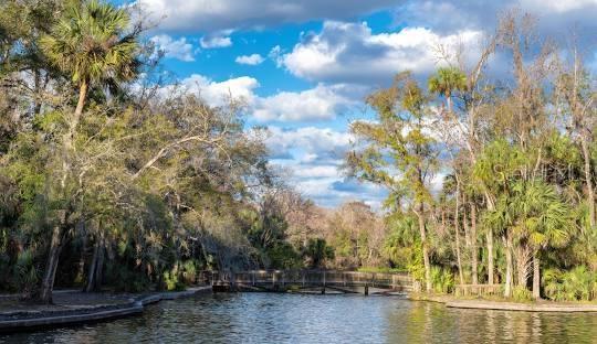 Building Photo - 1157 Monteagle Cir