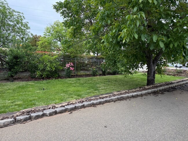 Building Photo - 3-bedroom, 1-bath home in Redding blends historic charm with modern finishes!