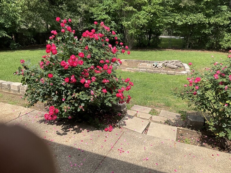 Back yard - 4650 N Lake Dr