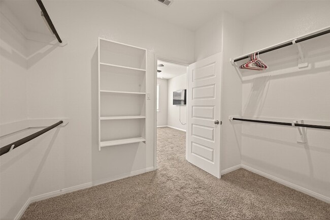 Building Photo - 3118 Cloud Forest Ln