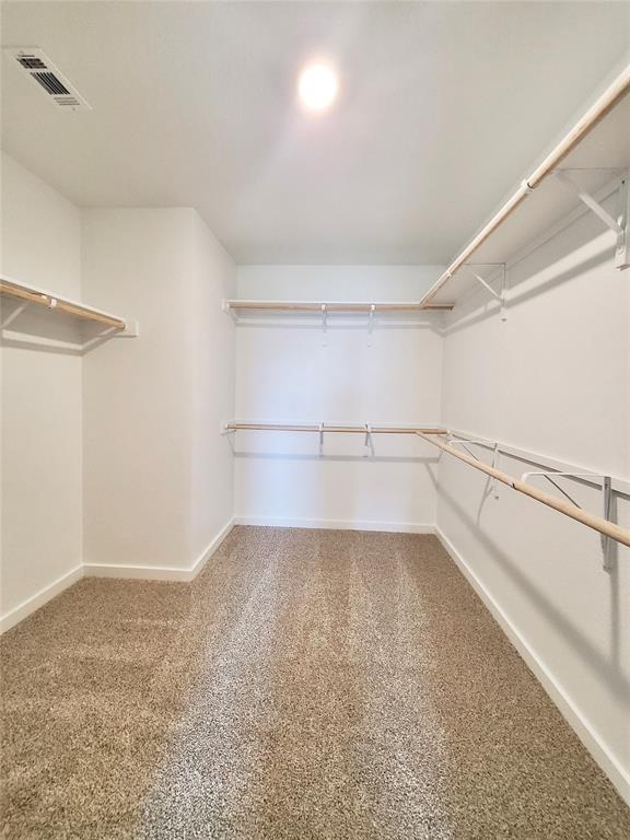 Building Photo - 2523 Rose Archer Ln