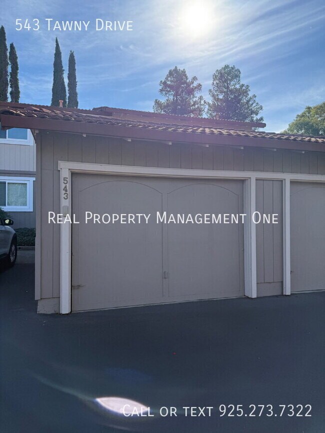 Building Photo - 543 Tawny Dr