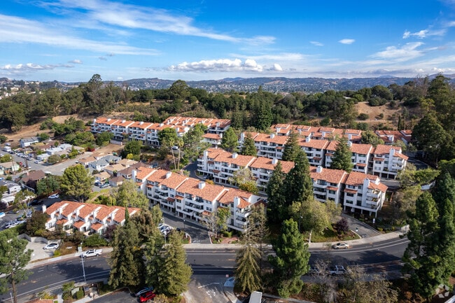 Aerial Photo - Vista Del Playa