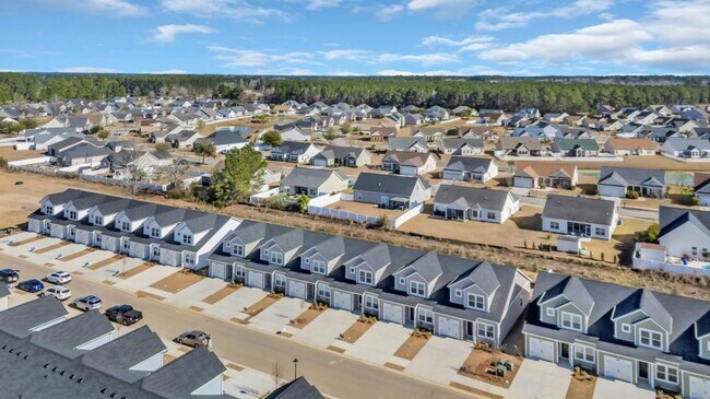 Building Photo - 1132 Blueback Herring Wy