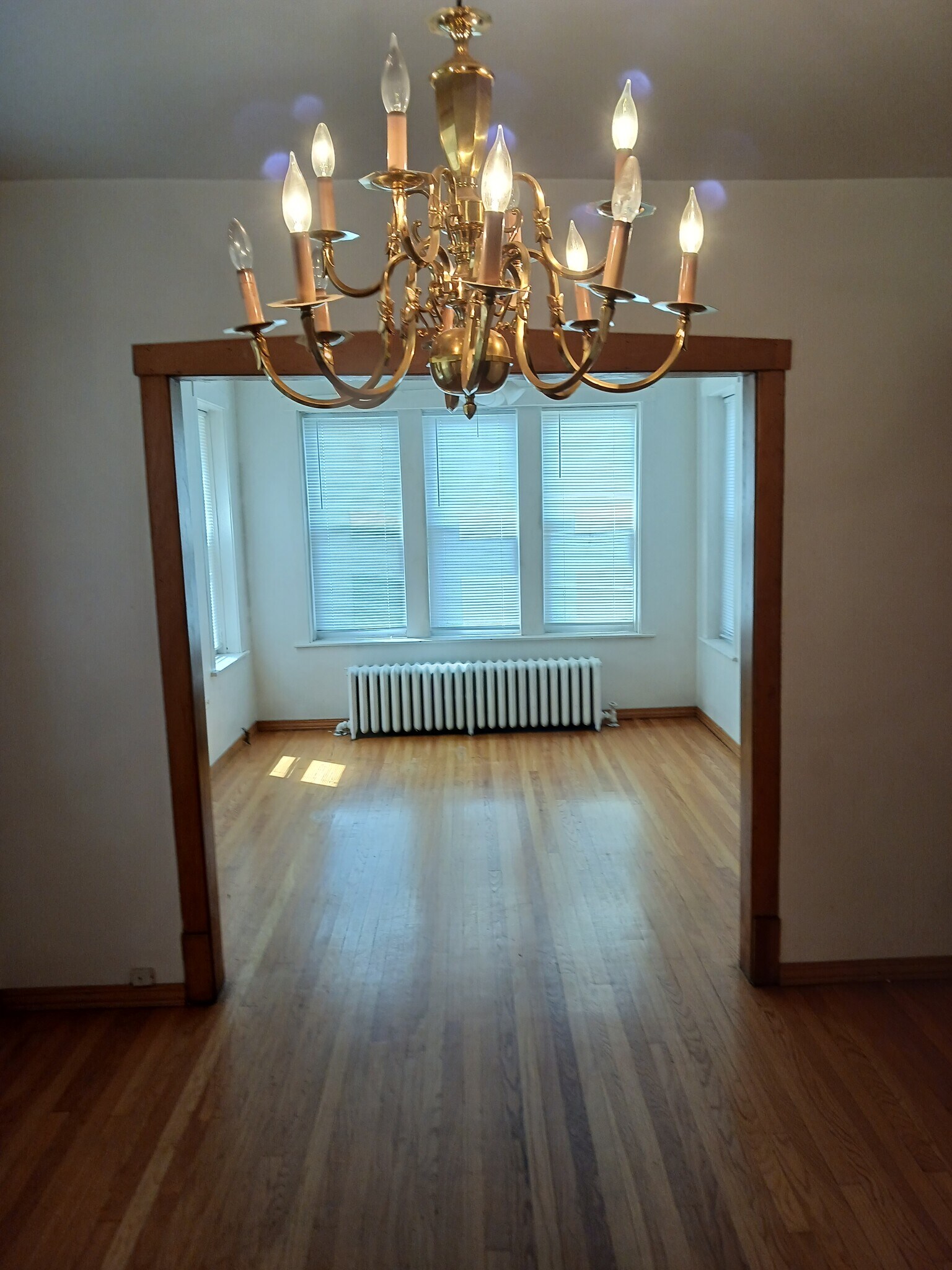 Living Room - 5902 W Wilson Ave