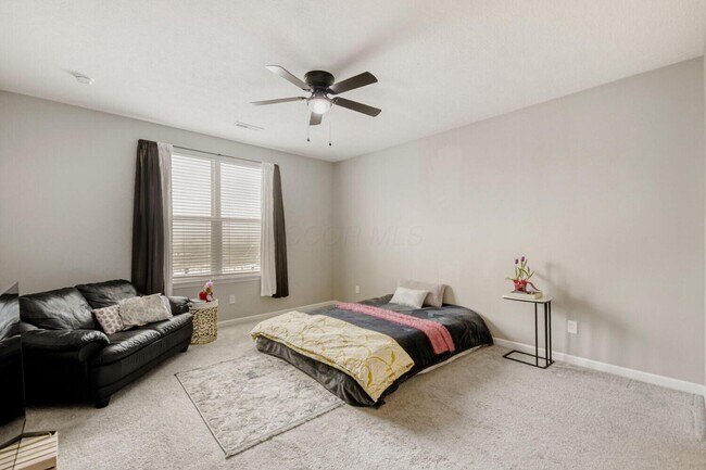 Building Photo - 1585 Nettle Ct