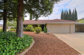 Building Photo - 2209 El Cejo Cir