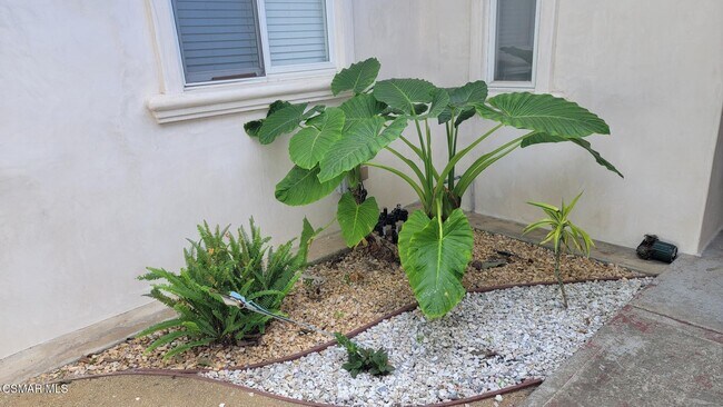 Building Photo - 1720 Elsinore Creek