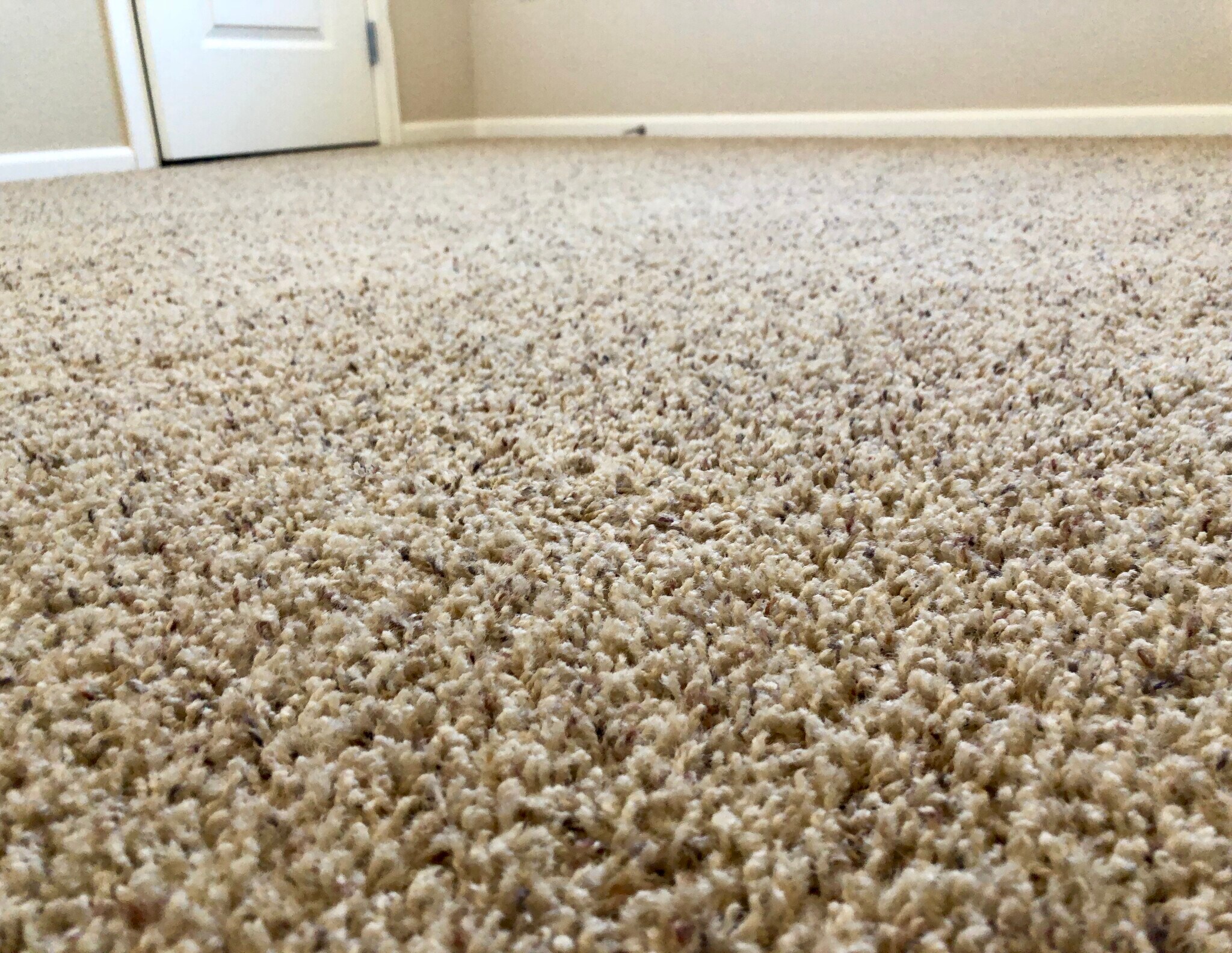 Second bedroom 2 - 5039 Brookfield Dr