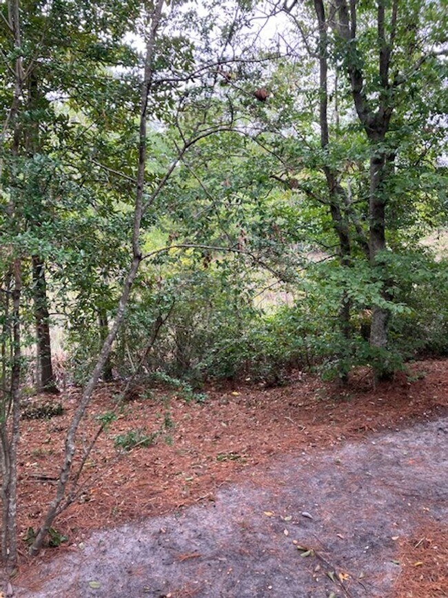 Building Photo - 121 Wrightsville West