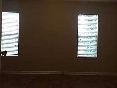 Building Photo - 3811 Meadow Green Ct