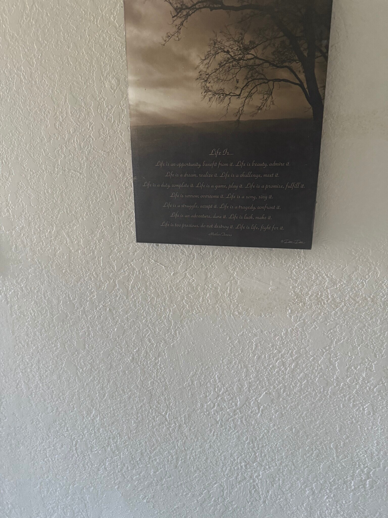 Building Photo - 797 W Mesa Verde Dr