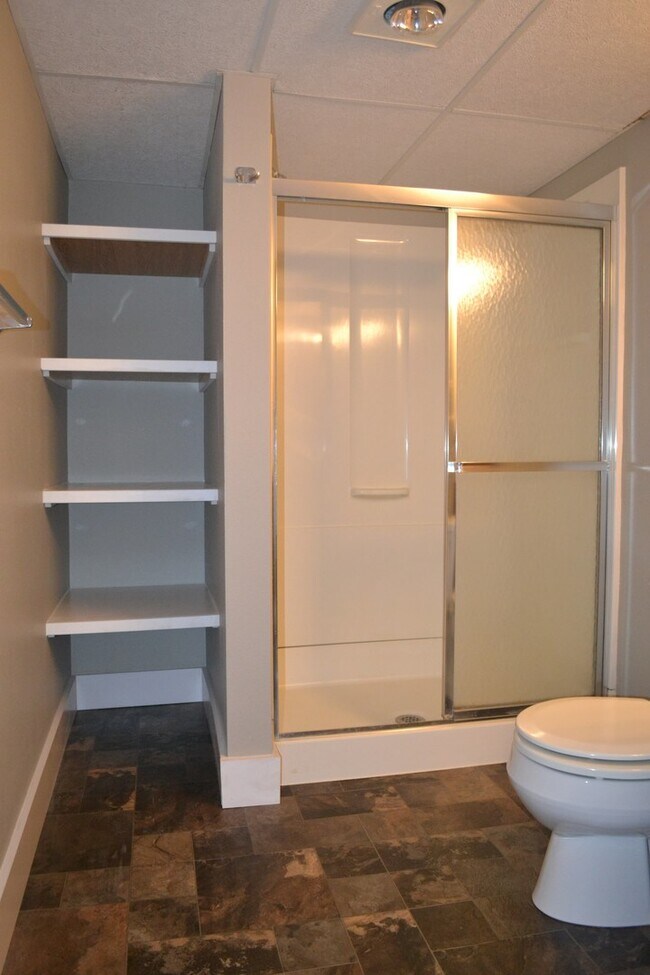 Building Photo - One block from USF! Huge home with 4 bedrooms! Fenced in yard