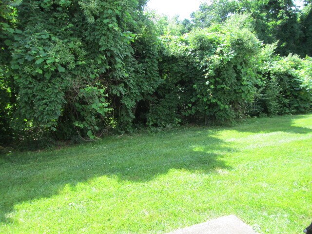 REAR BACK - 430 Thoreau St