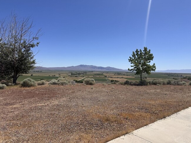 Building Photo - 469-922 Eternal Spring Way