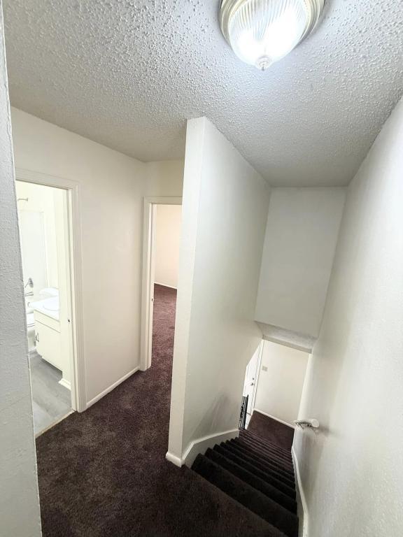 Building Photo - 1624D Newport Place