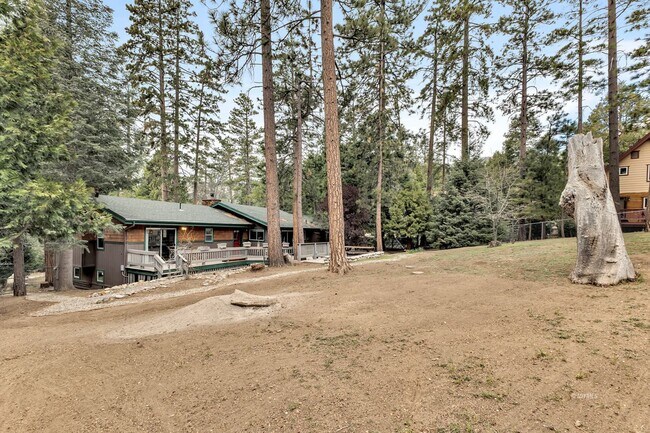 Building Photo - Mountain Lodge Home 1 Mile Away from the C...