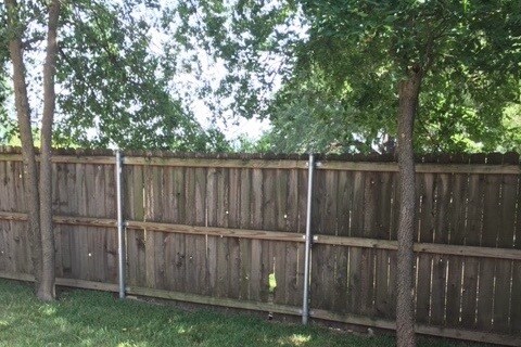 Back yard - 113 W 13th Ave