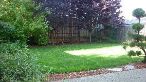 Building Photo - Charming 2 Level Beaverton Home Fenced Yar...