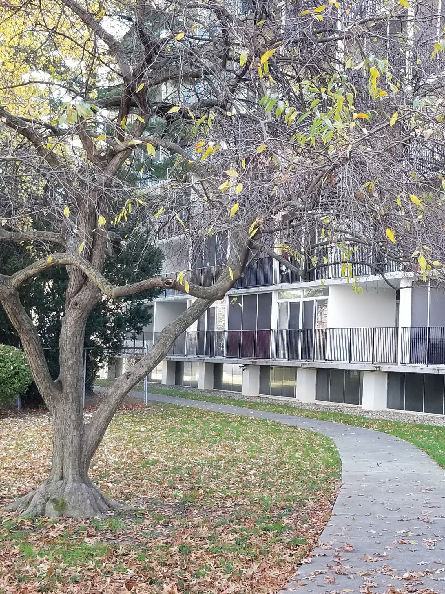 BACK YARD - 2331 E Market St