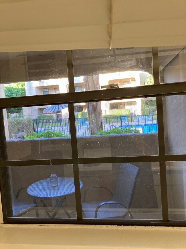 View of pool from kitchen sink - 5300 E Waverly Dr