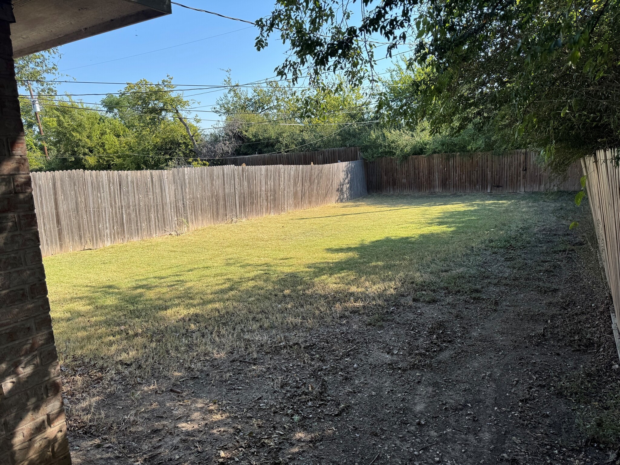 Backyard - 203 San Angelo Ave