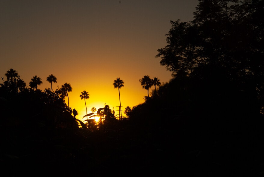 view - 936 Palms Blvd