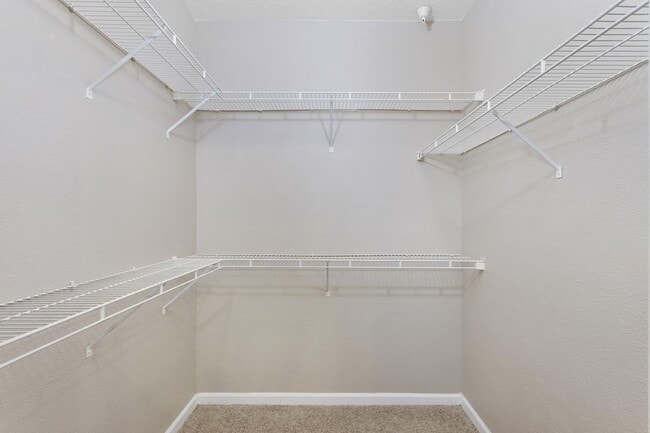 Building Photo - 5303 Bay Club Cir