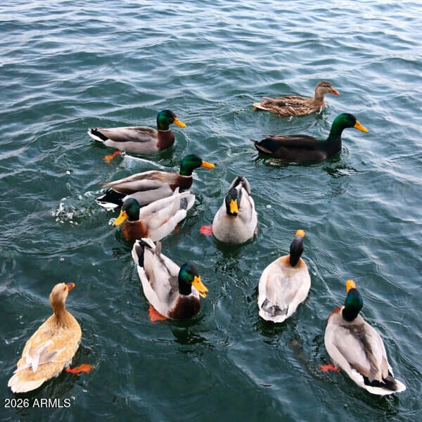 Building Photo - 21428 N 55th Ave