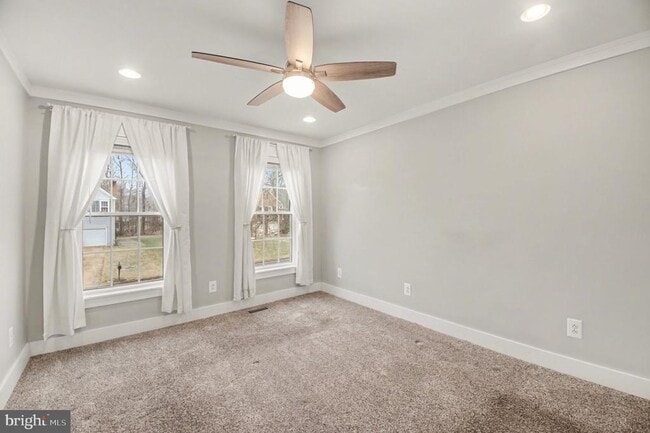 Building Photo - 24 Lipscomb Ct